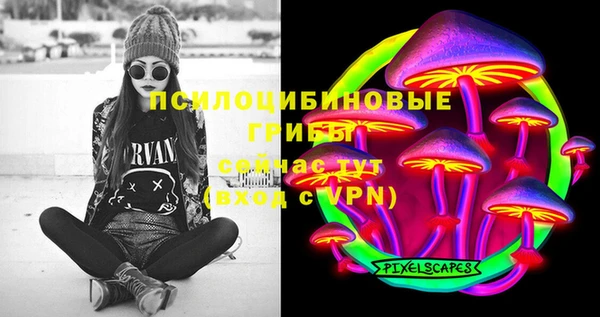 дмт Алексин