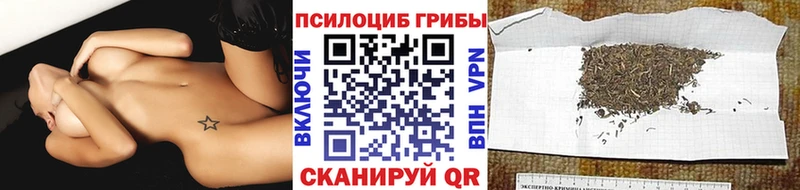 купить   Пласт  Галлюциногенные грибы прущие грибы 